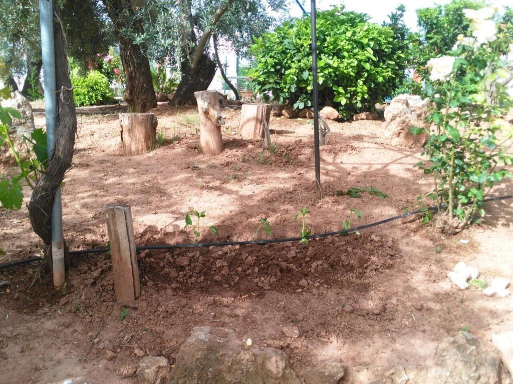 Alojamientos Rurales La Loma Pozo Alcon Ngoại thất bức ảnh