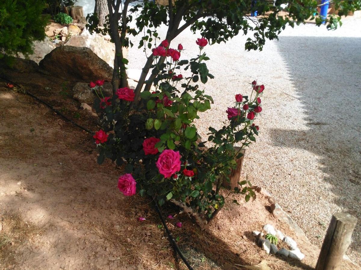 Alojamientos Rurales La Loma Pozo Alcon Ngoại thất bức ảnh